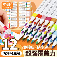 中彩 丙烯马克笔 12色