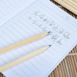 原木六角铅笔 10支