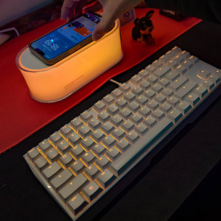 CHERRY樱桃（CHERRY）MX 3.0S TKL有线机械键盘游戏电竞电脑办公键盘无钢板结构87键 白色 RGB 红轴
