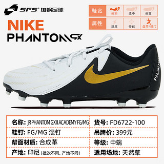 耐克（NIKE）暗煞 中端FG/MG混钉低帮天然草儿童足球鞋大小童男女FD6722-100 FD6722-100 36.5码