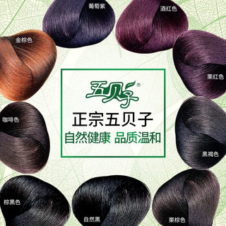 五贝子染发剂自己在家染头发纯黑色染发膏植物天然2024流行色遮盖白发女 酒红色(盖少量白发)