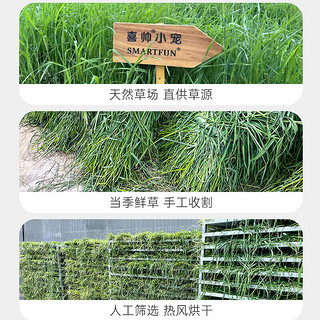 喜帅 精品烘干提摩西草500g 提草荷兰猪龙猫兔子磨牙牧草饲料兔草主粮 精品提摩西草500g