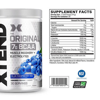 bcaa支链氨氨基酸增肌粉电解质冲剂蓝莓味420g/罐快速续航 营养供能