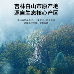 同仁堂 西洋参礼盒】北京同仁堂 Tongrentang Chinese Medicine西洋参3号圆片100g切片含片正