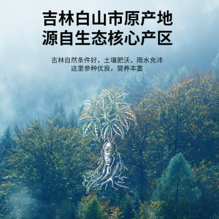 88VIP：同仁堂 西洋参礼盒】北京同仁堂 Tongrentang Chinese Medicine西洋参3号圆片100g切片含片正