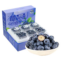 珞宴 新鲜蓝莓 8盒125G/盒 14-18MM （值友参加活动可升级大果18MM+空运包邮）