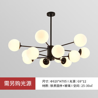 雷士 NVC   Lighting北欧魔豆分子客厅大灯餐厅灯卧室灯吊灯灯具灯饰全屋套餐 魔豆雅黑 12头【需自购灯泡】