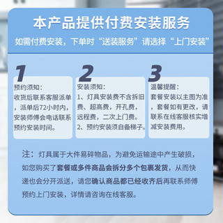 雷士 NVC   Lighting北欧魔豆分子客厅大灯餐厅灯卧室灯吊灯灯具灯饰全屋套餐 魔豆雅黑 12头【需自购灯泡】