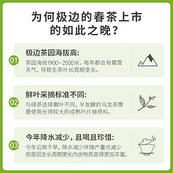 极边 年货送礼极边2023春茶青心高山有机乌龙茶冷泡礼盒装清香型252g