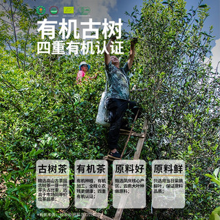 凤宁号云南凤庆滇红金针2023新茶特级蜜香有机古树红茶口粮散茶叶经典58 2罐装760g