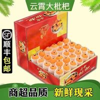 馋媳妇 正宗福建云霄枇杷超大果3/5斤孕妇水果琵琶果礼盒装