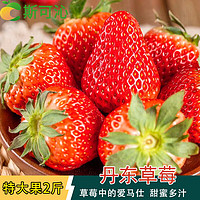 斯可沁 辽宁丹东99红颜奶油草莓水果年货节礼品 特大果2斤装 单果30-40g