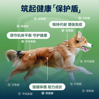 滋益巅峰 狗罐头 170g*12罐 混合味