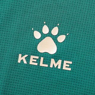 KELME/卡尔美运动短袖T恤男西班牙人俱乐部武磊同款足球训练服 8201TX1001 湖绿色 L