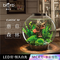 碧欧宝biorb英国亚克力圆形鱼缸小型桌面创意水族箱家用