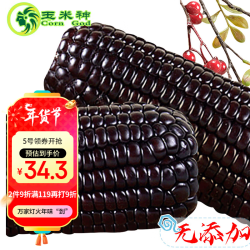 Corn God 玉米神 黑玉米棒新鲜糯粘香甜东北真空包装