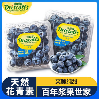 DRISCOLL'S/怡颗莓 怡颗莓云南蓝莓中果14mm新产季6盒当季新鲜采摘孕妇水果辅食