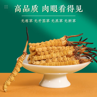 藏汐堂 冬虫夏草 3根/克 20g 礼盒装