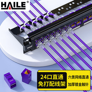 HAILE海乐 六类配线架24口直通免打 CAT6非屏蔽直通模块 紫色 HT-ZT24G