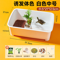 YEE乌龟缸带晒台饲养缸塑料龟盆造景别墅乌龟缸儿童客厅家用小型 白色中号丨标准造景套餐