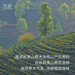 芳菲 正山小种红茶 100g 蜜桃香浓香型 茶叶盒装（4g*25袋）