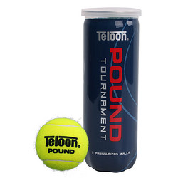 Teloon 天龙 pound-3 网球高弹耐磨训练球比赛练习用球 3粒装
