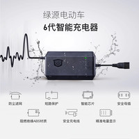 LUYUAN 绿源 电动车铅酸电池充电器48V/60V/72V自动散热直发