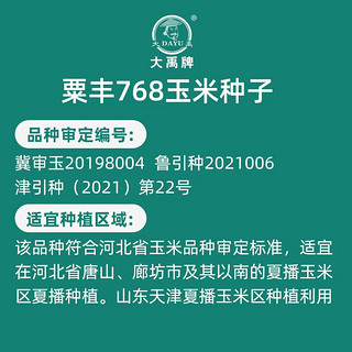 大禹高产玉米种子矮大棒抗旱抗倒郑丹958杂交春季四川 粟丰768玉米种子 4200粒 品质好