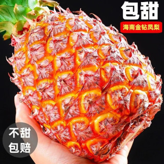 果农侠海南金钻凤梨大果9斤(6-8个) 新鲜热带水果金菠萝凤梨 6-8个 9斤 精品金钻凤梨