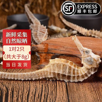 【祁晓风】海马药材 【CAWC认证】大型海马公母一对 干海马干货海龙药材组合泡酒药材 1对2只(共大于8g)