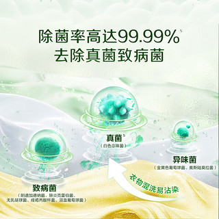 立白卫仕天然除菌洗衣液除菌率99.99%长效抑菌防霉祛异味 【2.48斤】卫仕液1kg+80g*3瓶