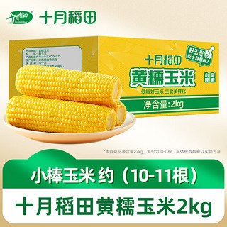 黄糯玉米2kg