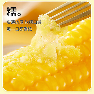 十月稻田 黄糯玉米2kg