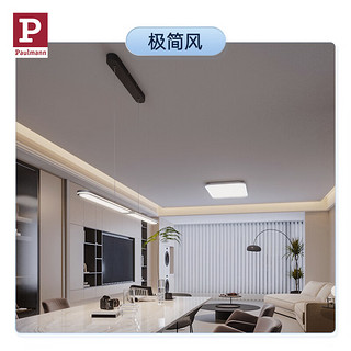 Paulmann P德国柏曼客厅灯全屋套装 现代简约智能卧室餐厅组合套餐 2厅【侘寂风】4000k版