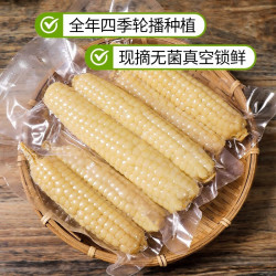 谷园绘福利价a级西双版纳白拇指香糯小玉米孕妇儿童代餐非转基因健康