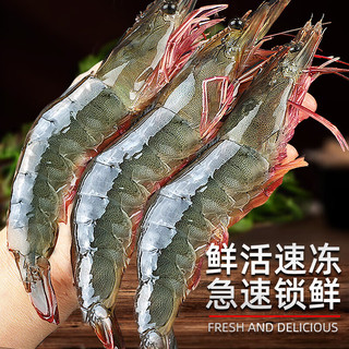 渔和苑国产青岛大虾 青虾白虾海虾基围虾冷冻生鲜 虾类 海鲜水产 青岛大虾3040净重2.8-3斤