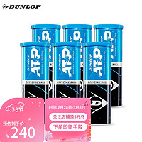 DUNLOP 邓禄普 网球ATP赛事铁罐ATP巡回赛比赛用球 三粒装铁罐6筒 601313