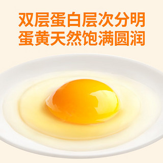 圣迪乐村 富硒鲜鸡蛋30枚年货礼盒 净含量1.5kg