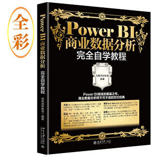 Power BI商业数据分析完全自学教程 PowerBI商业数据分析