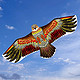  森林龙 潍坊老鹰风筝1.8米红色老鹰-100米线板　
