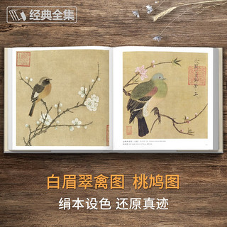 【精装·珍藏版】宋人花鸟 宋代经典花鸟画作品集高清还原临摹鉴赏范本装饰收藏中国画设色花鸟画册页精品书籍艺术小品集