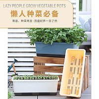 [可凑单]阳台长方形种菜盆种菜专用箱神器