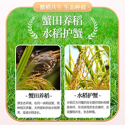 Poyuan 舶元 盘锦蟹田米5kg生态种植东北大米10斤地标稻香米