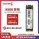 Great Wall 长城 N300 1TB固态硬盘M2接口笔记本台式SSD固态硬盘SATA协议 NGFF