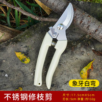 京一 修枝剪园艺剪刀专用不锈钢家用省力园林修剪果树摘果树枝花艺剪子 象牙白弯头修枝剪