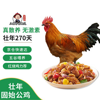 三德子好甄选 壮年公鸡好鸡2号山地散养270天土鸡肉质鲜嫩 净重2-2.3kg