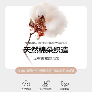 南极人小碎花全棉床上四件套纯棉加厚裸睡被套家用床单套件宿舍单人床品 浅梦【精梳全棉 亲肤裸睡】 1.2M床单三件套【被套150*200】