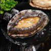 新鲜冷冻鲍鱼 400g*8头鲍 顺丰冷链