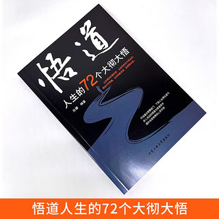 分寸+悟道 人生的72个大彻大悟 跨越社交圈层的底层逻辑 处世之学必读书籍