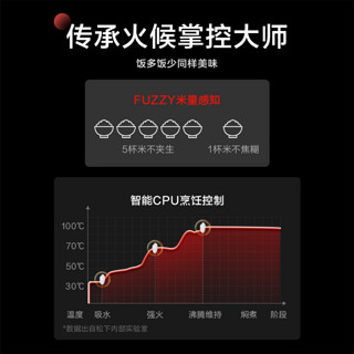 Panasonic 松下 电饭煲家用可预约多功能电饭锅1-6人煮饭煮粥DL101